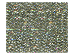 149 Champagne Beige Sparklenet